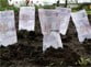 В Бердянске разберутся с должниками за землю
