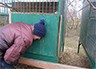 Бердянские сурки свой праздник не праздновали