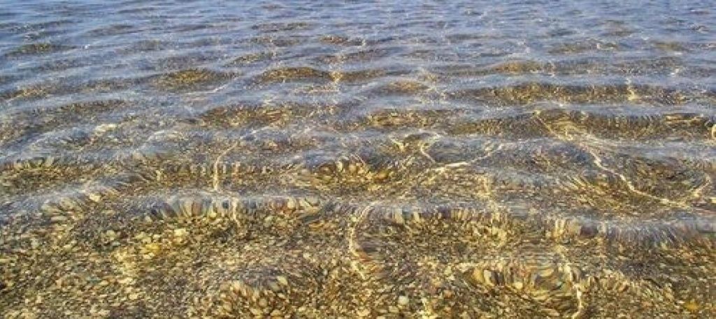 Вода в Азовському морі чиста - результати мікробіологічного та хімічного аналізу