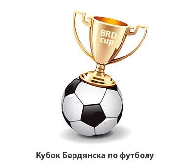Прошли матчи Кубка Украины среди ветеранов и Кубка Бердянска
