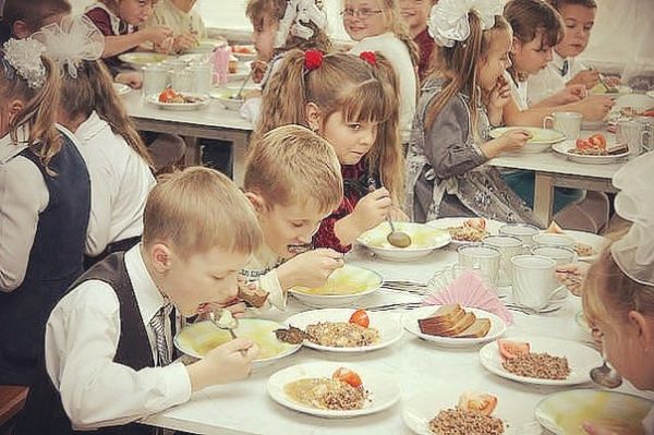 В бердянских детсадах и школах будут бесплатно кормить детей участников АТО