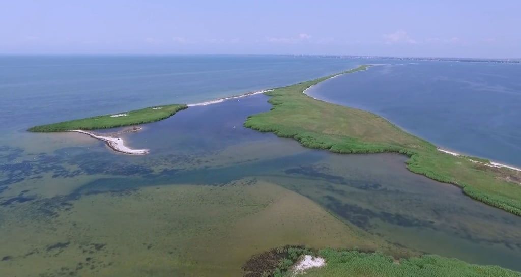 Заповедный остров Дзендзик в Бердянске засняли с дрона - видео