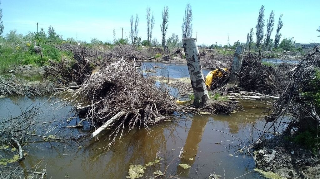 На Слободке образовалось целое болото с корнями деревьев и строительным мусором - фото и видео
