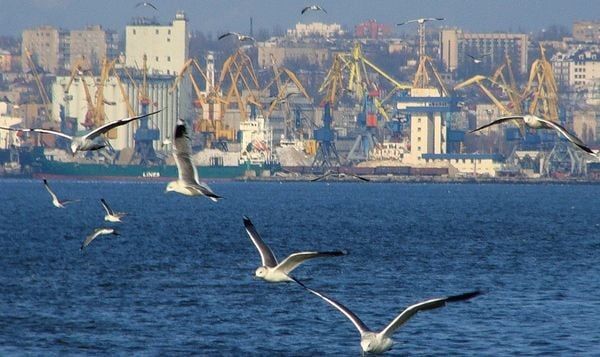 Украина оценивает ущерб от потери портов в Крыму и разрушения инфраструктуры порта в Мариуполе