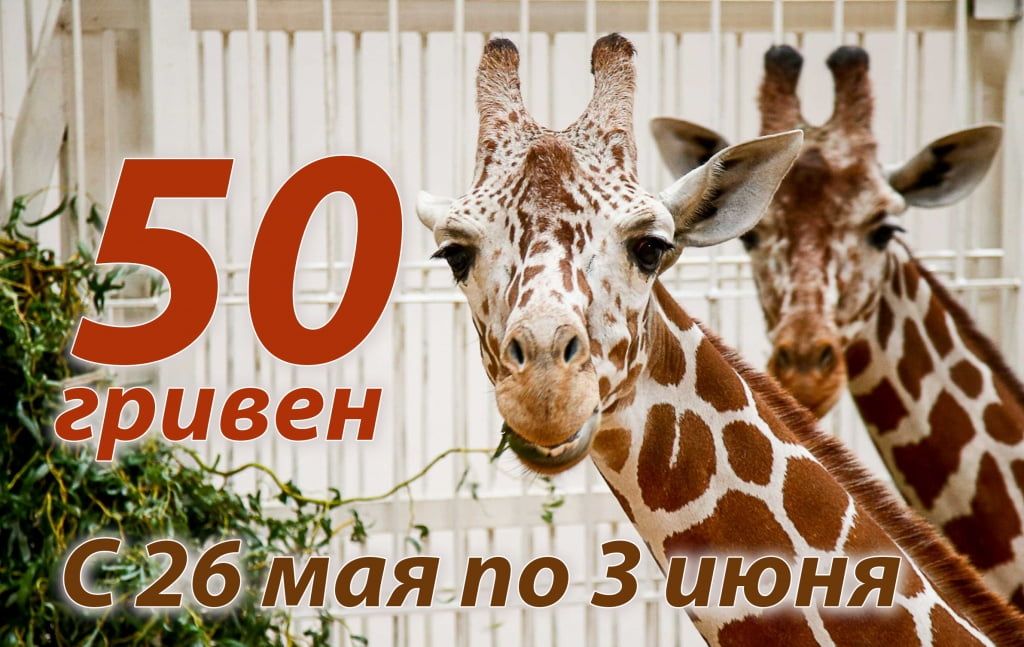 Зоопарк «Сафарі» оголосив акцію - мешканцям Бердянська та району вхід 50 гривень