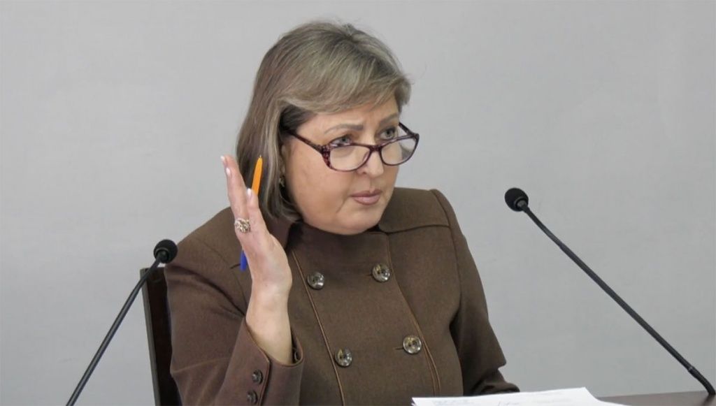 Залучати громадськість до ухвалення рішень — депутат Ірина Попова закликала владу бути більш відкритою