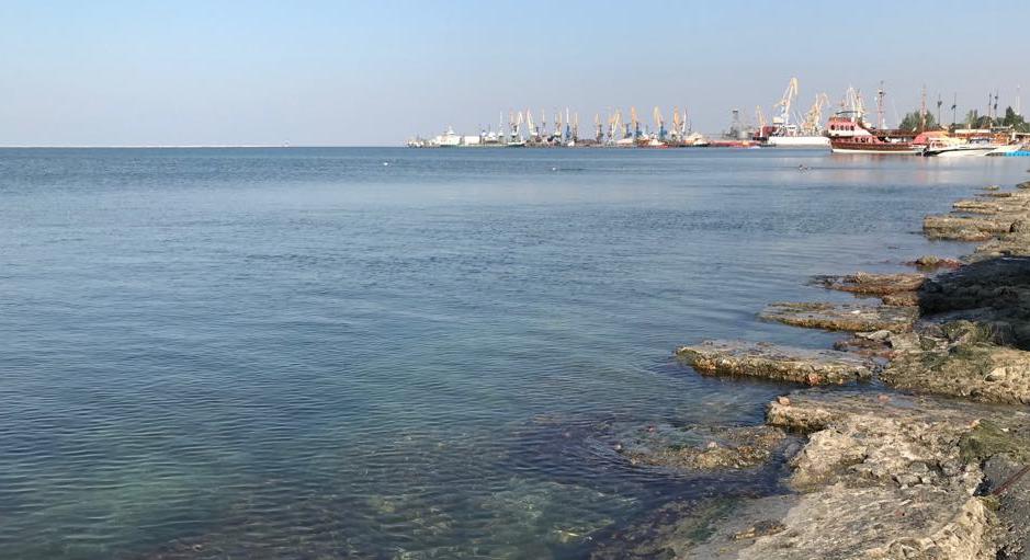 Море вблизи Бердянска чистое. Лабораторные исследования не выявили отклонений