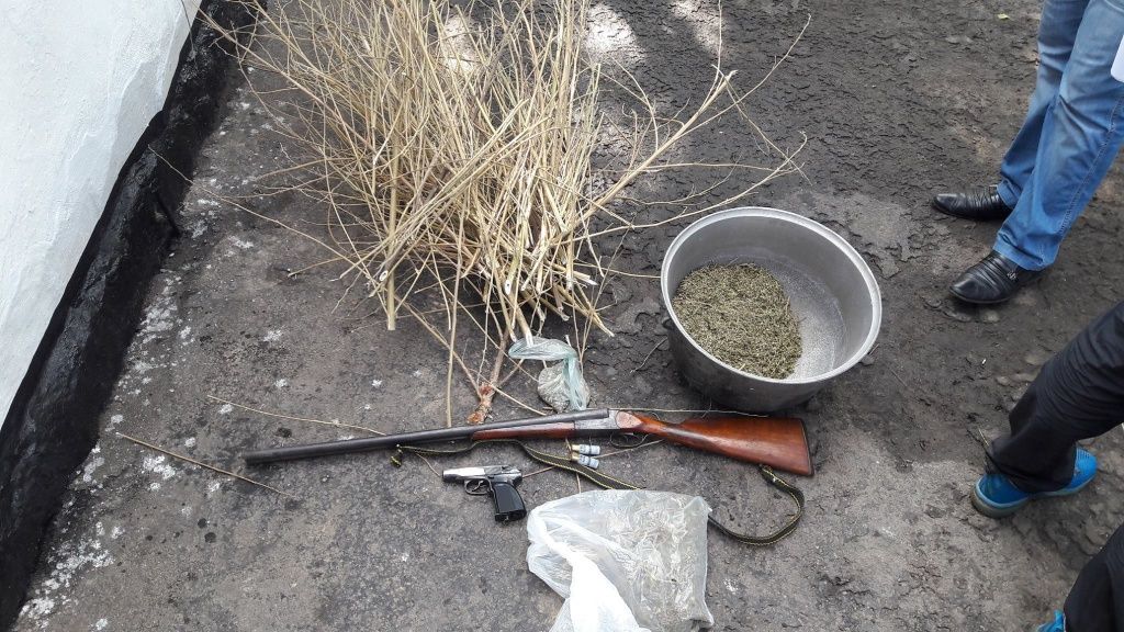 Дільничними інспекторами Бердянського відділу поліції знешкоджено чергову міні плантацію