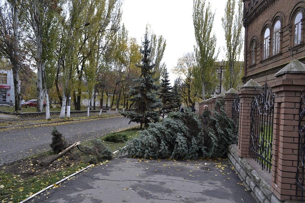 Видео о том, как в прошлую среду в Бердянске возле БГПУ елка исчезла