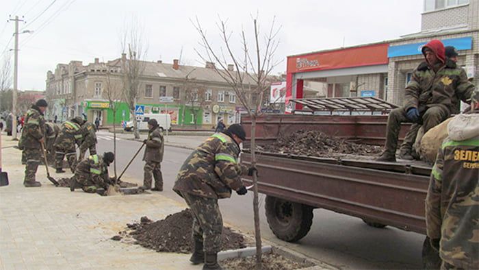 Владимир Шаповалов: за год в Бердянске высажено свыше 12 тысяч деревьев