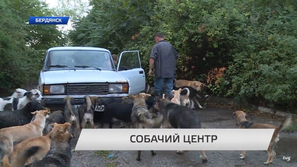 В Бердянске создан центр помощи бродячим животным