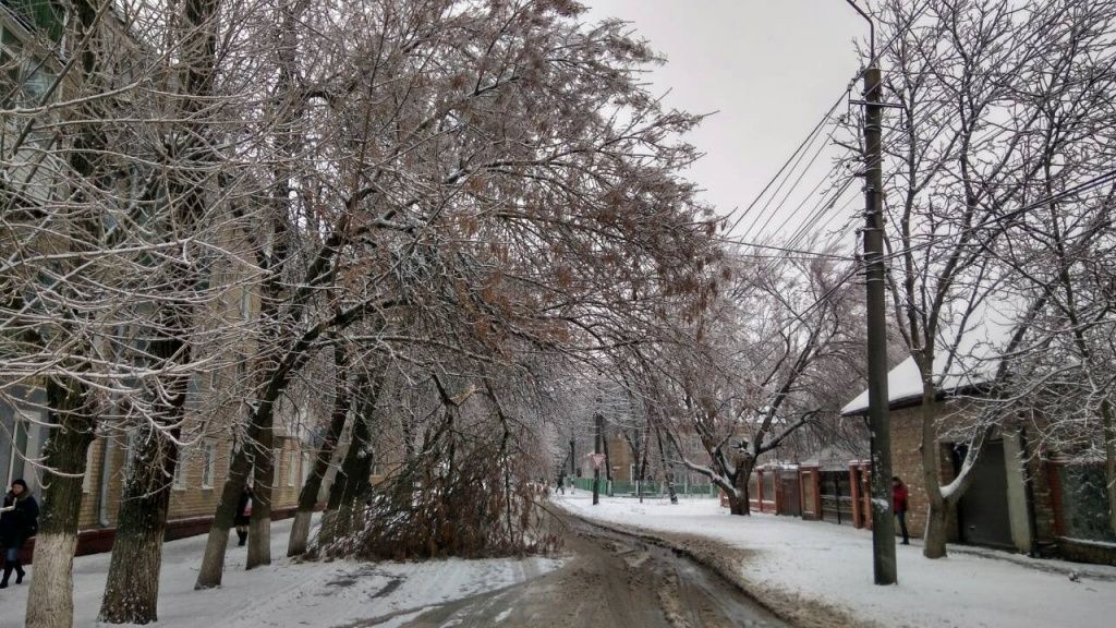 Непогода в Бердянську: понад 20 дерев повалено, обірвано три високовольтні лінії