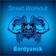 Состоялось выступление команды: Street Workout Berdyansk (фото + текст)