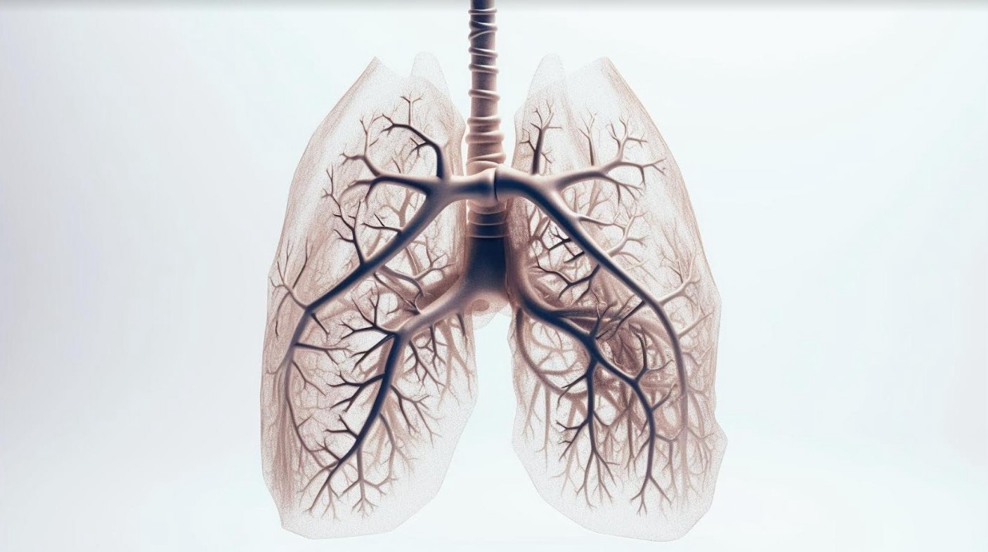 рак легенів