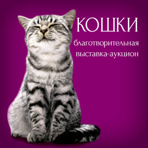 выставка кошек