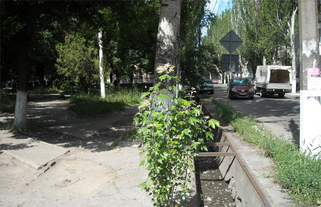 Казацкий сквер