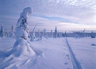 Новогодние каникулы в Финляндии