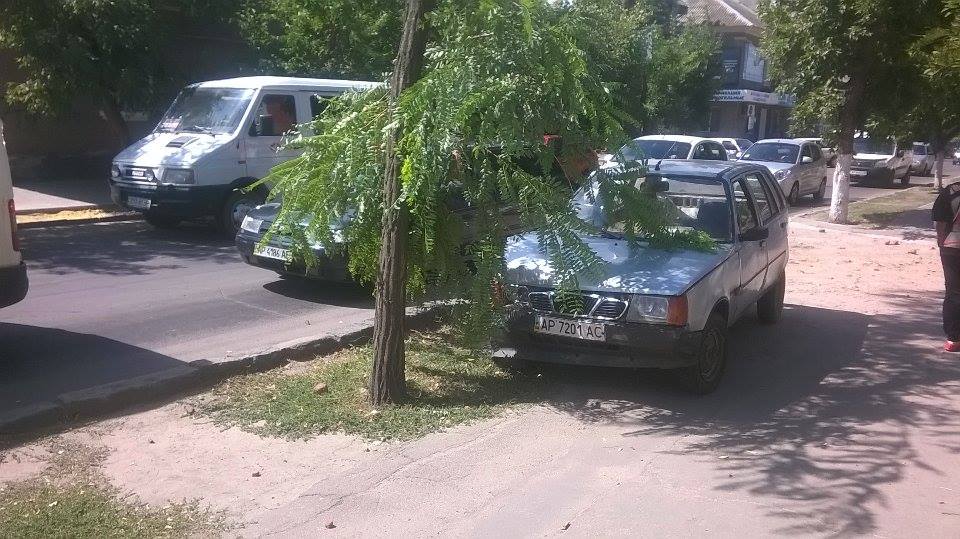 В Бердянске, на ул. Дюмина, в районе ресторана Чили произошло ДТП с участием 3-х авто
