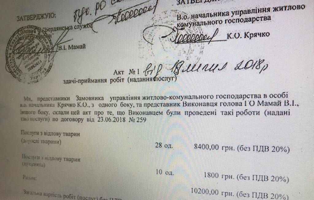 На вилов та утримання безпритульних тварин мерія планує виділити додаткові кошти