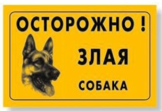 В Бердянске задержали парня, который совершил кражу "под носом" у двух собак