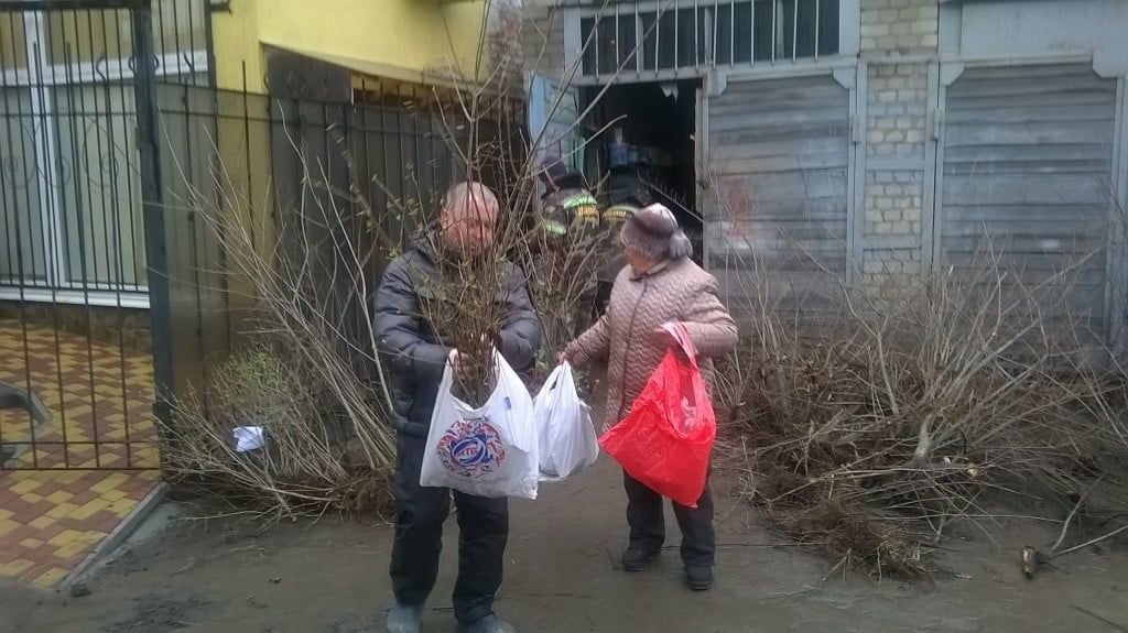 В Бердянске активистам бесплатно раздали 4 тыс. саженцев деревьев и кустарников