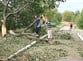 Ураган в селе Осипенко повалил деревья и повредил дома