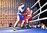 В Бердянске прошел международный турнир по боксу