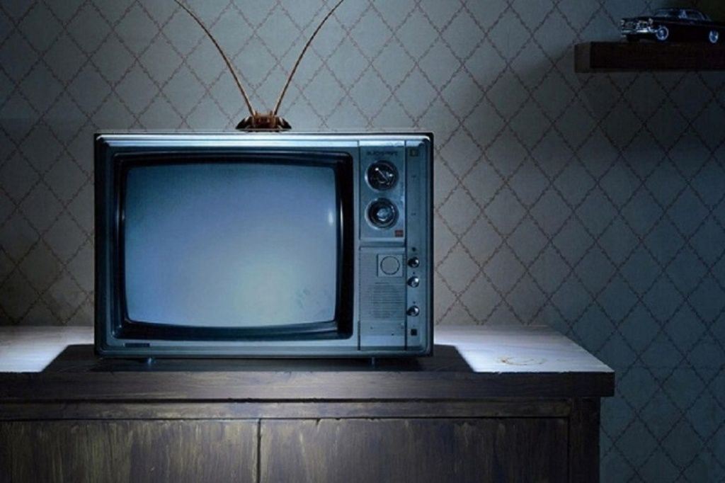 Арендатор квартиры освободила жилплощадь вместе с хозяйским телевизором