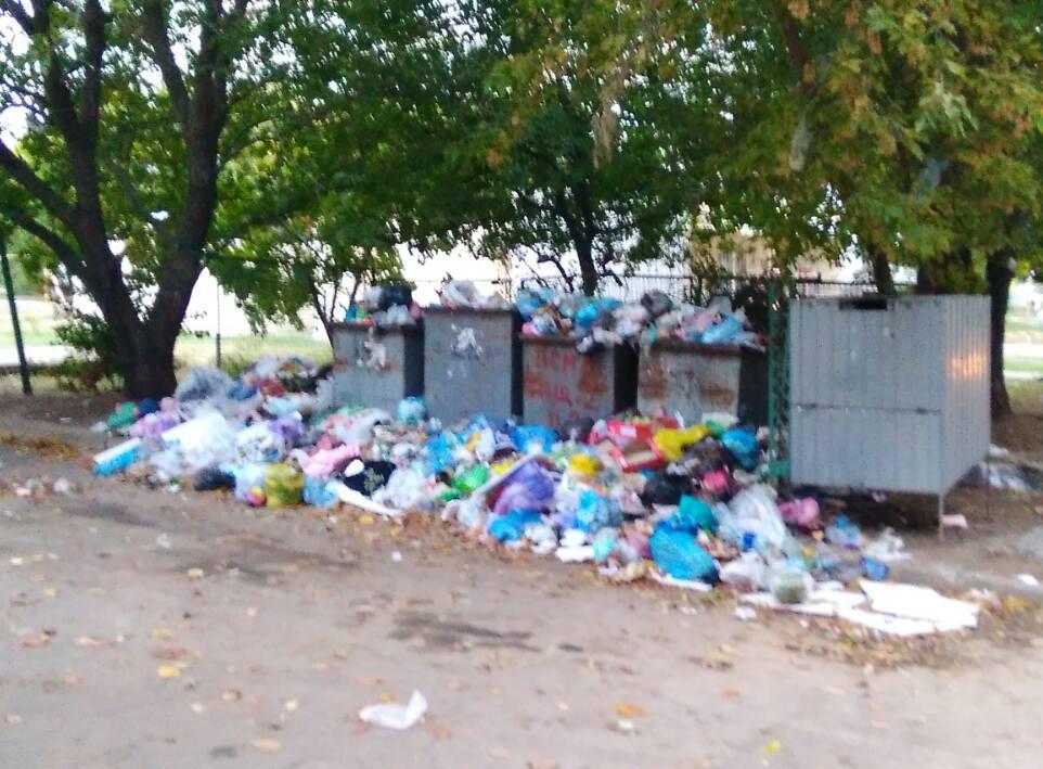 За три дня мусор должны убрать. Но не факт, что ситуация не повторится