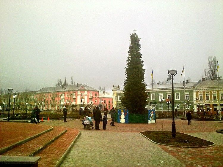 В Бердянске установили городскую новогоднюю ёлку