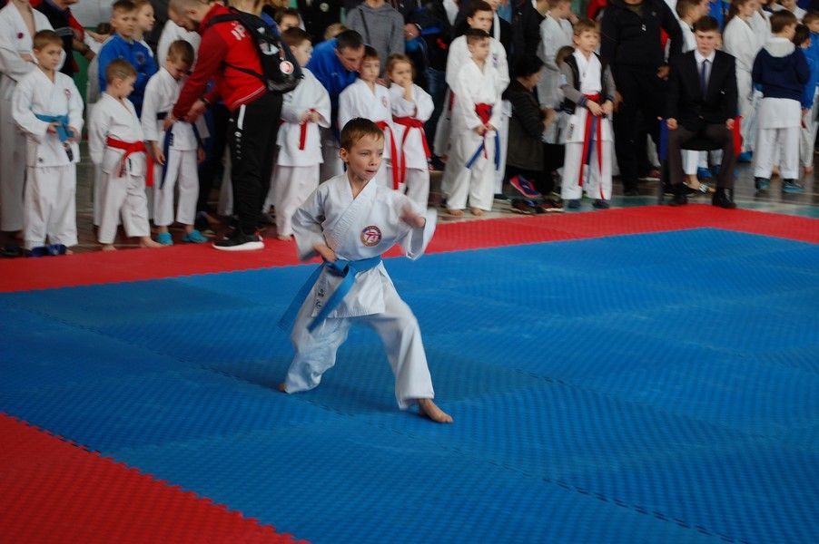 Клуб «Дзаншин» завоевал 40 медалей в  Открытом чемпионате области по каратэ WKF