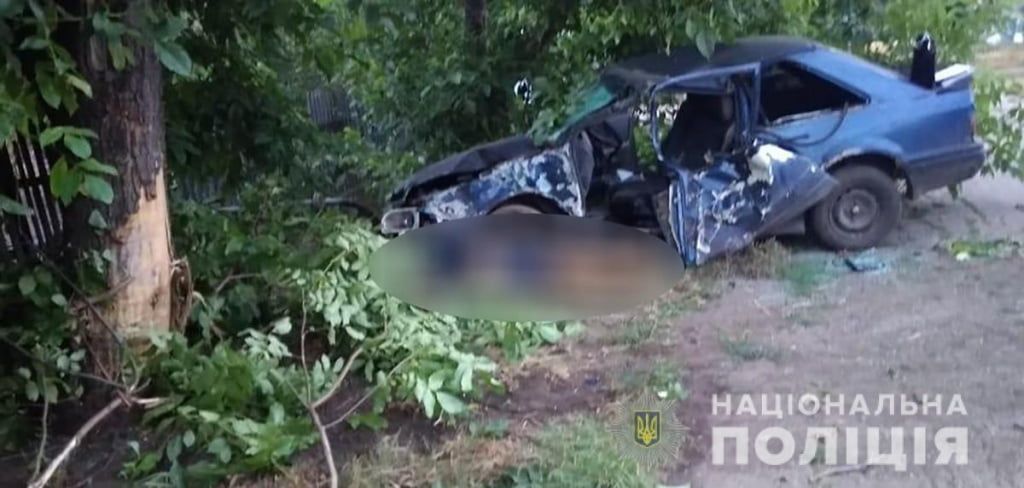 У Бердянському районі в наслідок ДТП загинув водій легковика