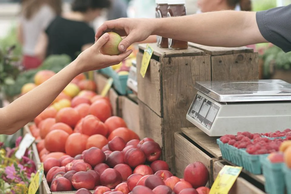 Швидка, приємна та вигідна доставка продуктів на прикладі надійної компанії 