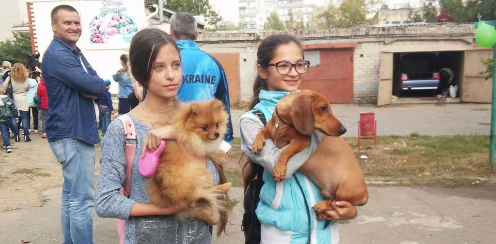 В 32-м микрорайоне Бердянска прошел парад домашних животных