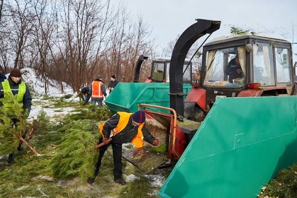 Депутат запропонувала використовувати техніку для подрібнення гілок для утилізації ялинок