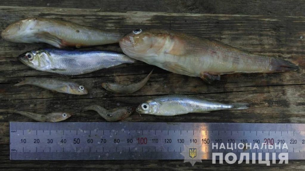 В Бердянську правоохоронці виявили браконьєрів, які здійснювали вилов «молодняка» риби