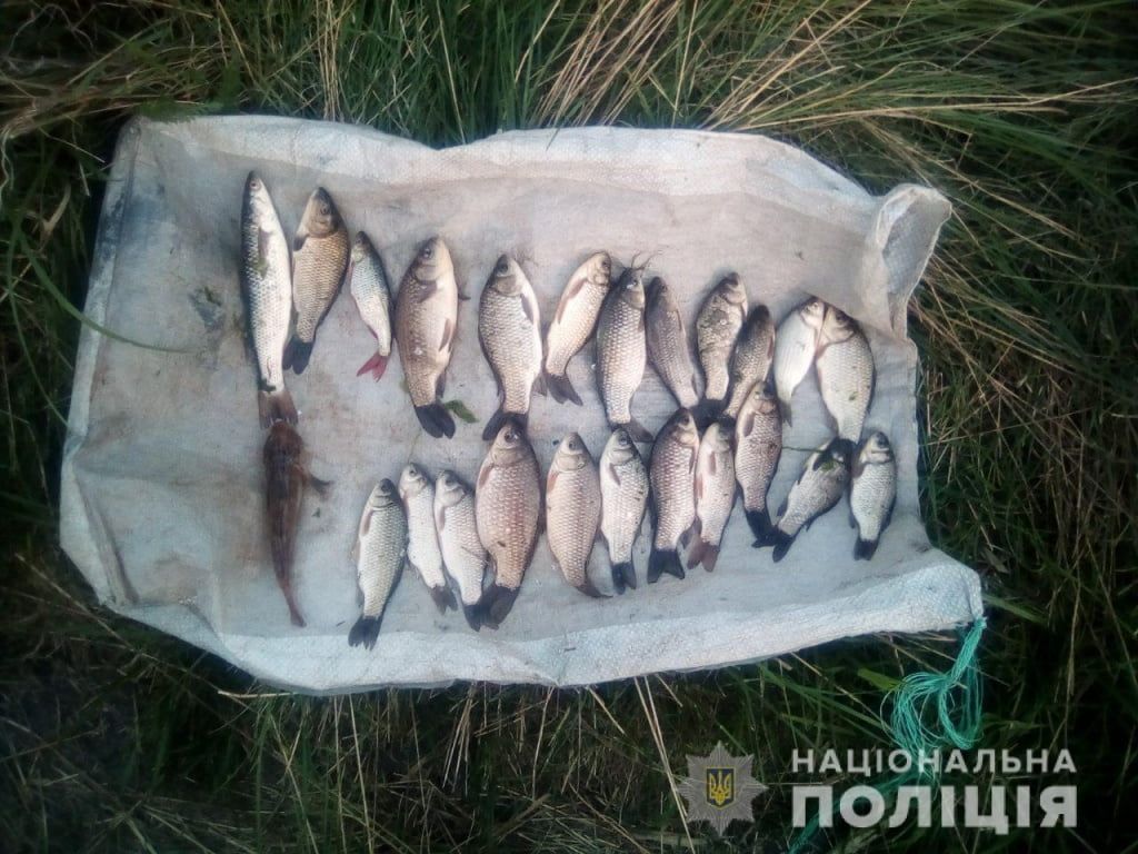 Бердянські поліцейські виявили у двох чоловіків виловлену рибу, занесену до Червоної книги України