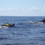 В Бердянске в очередной раз унесло отдыхающих в море на надувном матрасе