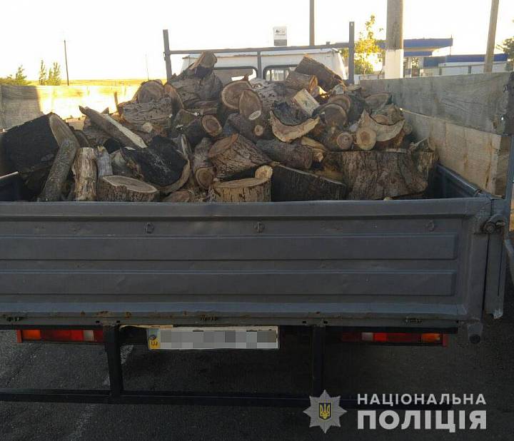 В Бердянському районі протизаконно спилили деревини на загальну суму 20000 гривень