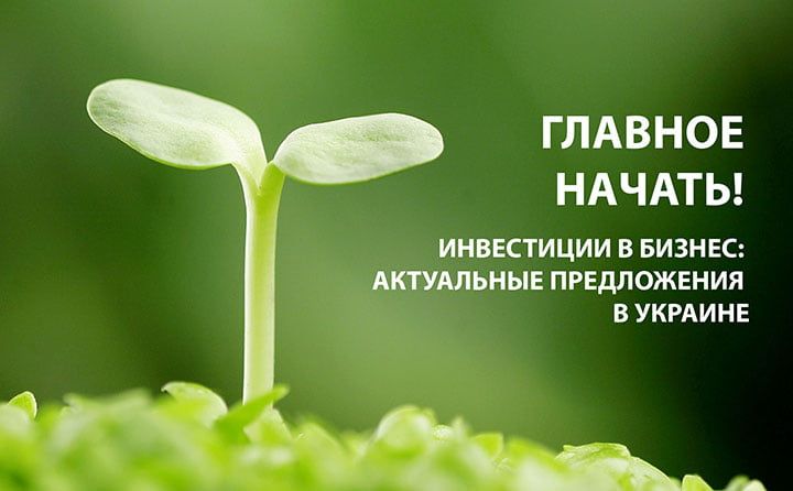 Инвестиции в бизнес: актуальные предложения в Украине