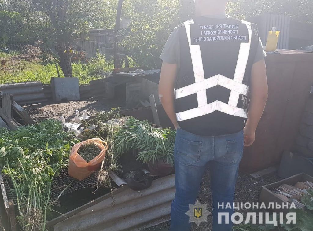 Бердянські поліцейські вилучили наркотичних засобів на суму понад 120 тисяч гривень