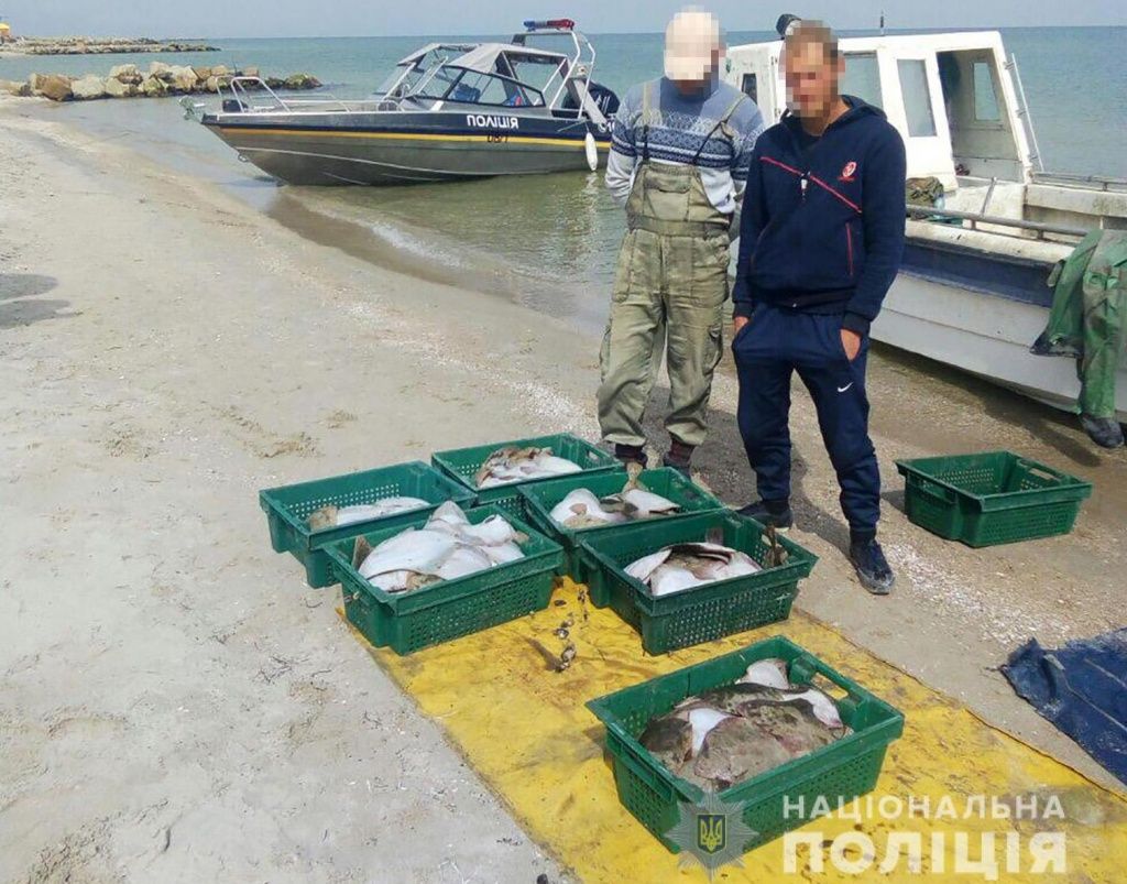 У Бердянську поліцейські виявили двох браконьєрів, які завдали збитків державі на суму понад 175 тисяч гривень