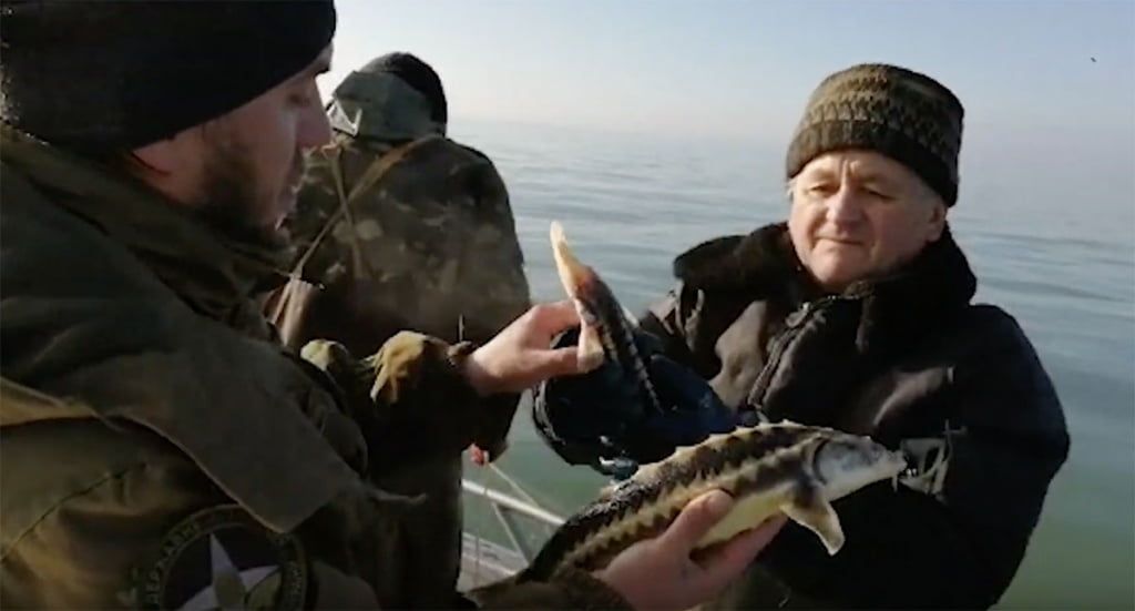 Біля Бердянська прикордонники виявили 23 сітки, загальна довжина який 1150 метрів.