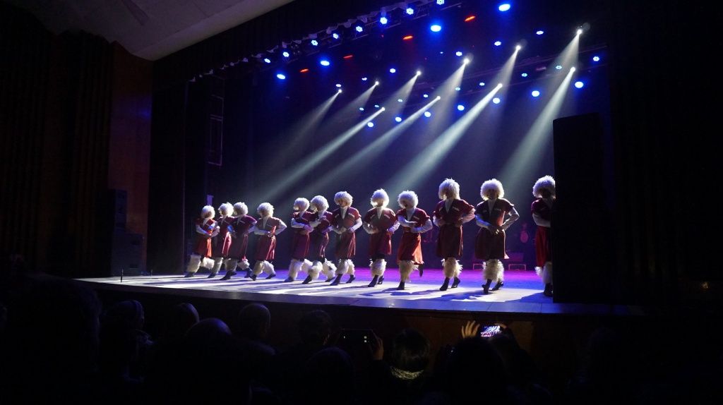 Колорит Грузії на сцені палацу культури – ансамбль Сухішвілі в Бердянську подарував феєричний концерт 