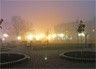 Прогулка в Бердянском тумане - фото