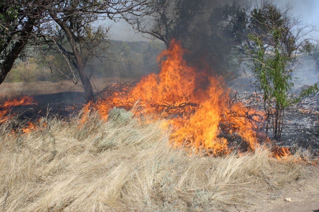 Рятувальники закликають: бережіть екосистеми від пожеж