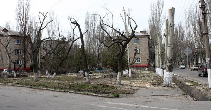 Петиция о 5-летнем моратории на необоснованную вырубку деревьев набрала 275 подписей за 3 дня