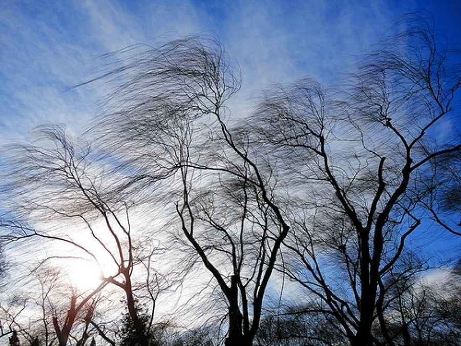 Синоптики предупреждают о сильном порывистом ветре в Приазовье