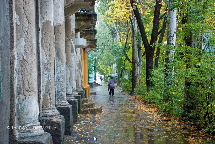 Фото Татьяны Черемисиной