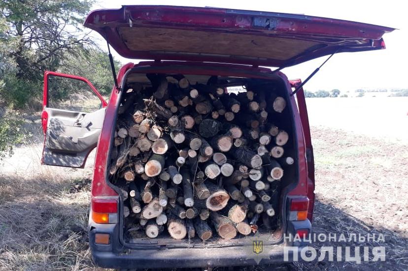 В Бердянському районі оперативники викрили факт незаконної порубки дерев
